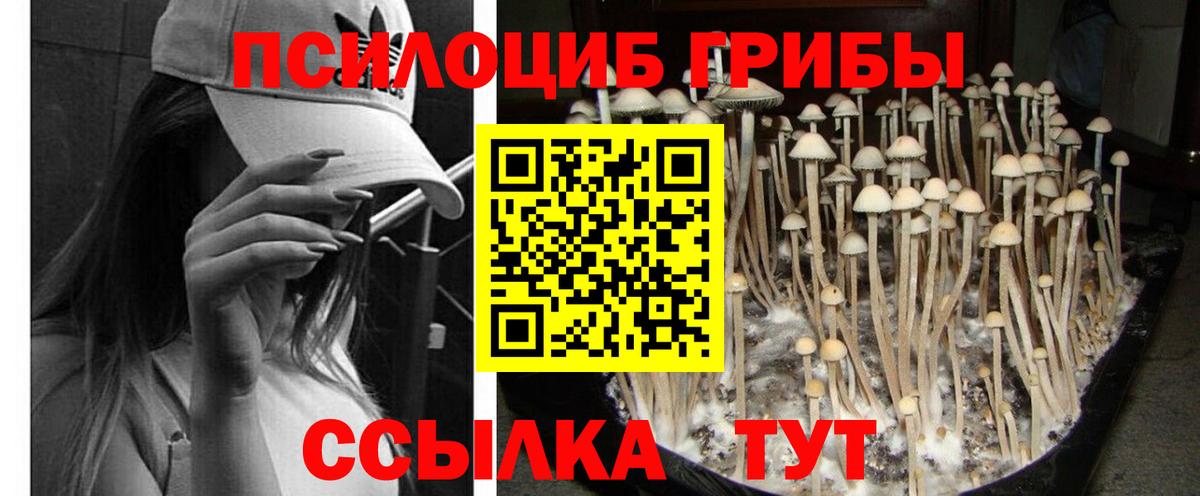 Белово  Псилоцибиновые грибы Psilocybe  сколько стоит  Псилоцибиновые грибы Cubensis  Вход с VPN 